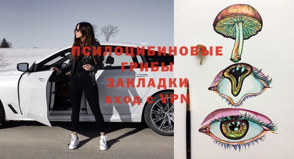 гашик Белокуриха