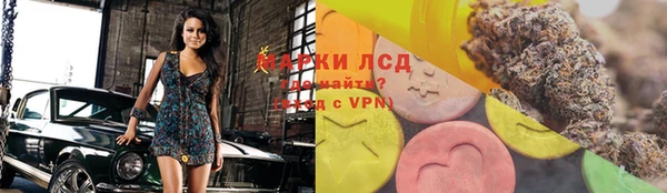 гашик Белокуриха