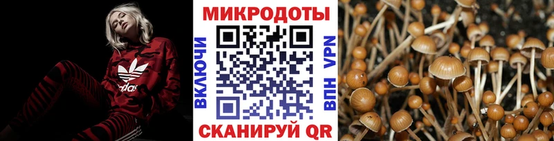 Галлюциногенные грибы мухоморы  Новая Ладога 